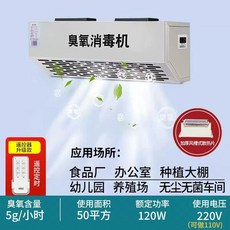 오존기 오존 생성기 오존생성기 20G 음이온 석영관 시간당, O. 220V5g 원격 제어 타이밍, O. 220V5g 원격 제어 타이밍