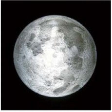 달모양변화관측기DR-956