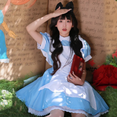 로엔드 앨리스 코스프레 의상