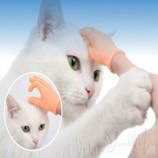 유앤미 미니 장난감 손 손인형, 바위