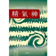 현대과학으로 풀어낸정 기 신, 지식산업사, 도영진 저
