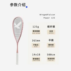 Tecnifib 크로스샷 23 경기용 플레이어 스쿼시 장비 초급 코트 라켓 연습 중급, 파워125핑크, 1개