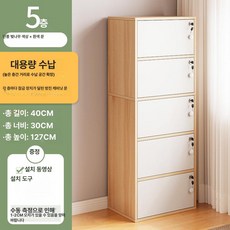 서랍형 보관함 다용도 캐비닛 사무실 정리대 문서 철제 소형 정리함 물품 사무용 사물함, 1단 잠금장치 포함 5도어 메이플체리우드
