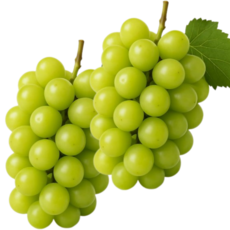 [부자농원] 프리미엄 고당도 샤인머스켓, 1개, 2kg(3수~4수)