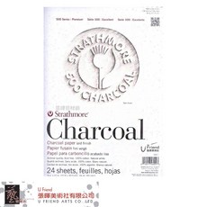 Strathmore 500系列環裝炭畫本, 1個