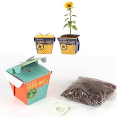 해바라기씨앗 생견과류 1kg, 1개