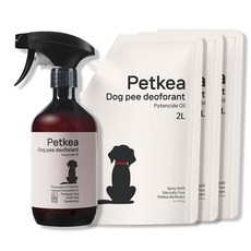 펫케아 강아지탈취제 피톤치드 천연 스프레이 반려견 오줌냄새 제거 + 공병, 1개, 6L