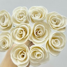 “Be a florist 花藝夢” 高品質索拉 平原玫瑰 索拉 3公分 4公分 6公分 (把) 擴香花 乾燥花 永生花, 雙色珊瑚,3公分