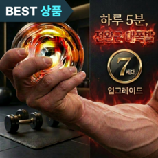 라온 자이로볼 전완근 손목운동 파워볼8세대 완력기, RAON, 1개