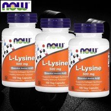 나우푸드 라이신 리신 Lysine 500mg 100캡슐 3개