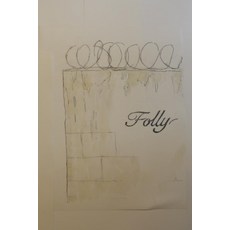 Folly Paperback, Slug and Bubble, LLC