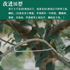 사과나무 고정 기구 유인 가지 1000개 지주대 클립, 개량형 16종 40개, 1개