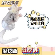 蜜袋鼯紙尿褲 蜜袋鼬專用一次性尿布 防亂尿, 1個, 5片裝,L碼 115克到175克