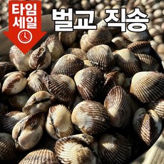 [새벽조업 산지직송] 알이 꽉찬 당일조업 100% 국내산 남해 벌교 새꼬막, 1개, 6kg