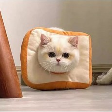 HN M-L 강아지 고양이 쿠션 반려동물 목화솜 쿠션 넥카라 반려 동물 상처를 핥는 것을 방지하다 고양이 베개 장난감, 1개, 베이지
