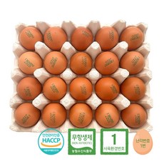 [품질보장] 난각번호1번 자유방목 무항생제 유정란 HACCP 무항생제 계란 달걀, 1개, 40구