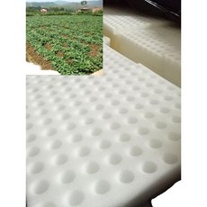 수경 재배 스펀지 발아 씨앗 블럭 모종 텃밭 베란다, 크로스 250x250x25mm 화이트10장