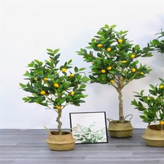 인조 레몬나무 150cm 실내나무