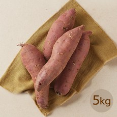 [랜선장터]여주 갓 수확한 왕 꿀고구마 5kg (박스개당 70-300g), 1박스