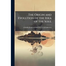 (영문도서)The Origin and Evolution of the Idea of the Soul Paperback, Hutson Street Press, English, 9781023824965