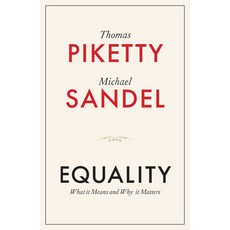 (영문도서) Equality: What It Means and Why It Matters Hardcover, Polity Press, English, 9781509565504