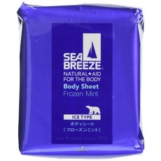 씨브리즈 아이스 타입 바디 시트 냉동 민트 30장