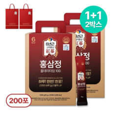 1+1 홍삼정 올데이타임 100 대용량+쇼핑백, 2개, 1L
