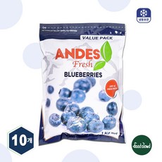 당도높은 무첨가 100% 냉동블루베리 1KG, 10개, 1kg(칠레)