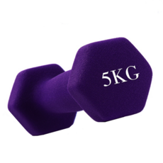 實心鑄鐵啞鈴 防滑塑身啞鈴 健身啞鈴 女性小啞鈴 六角啞鈴 瘦手臂減肥 老年復健啞鈴, 1個, 5kg-紫色  單隻
