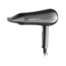 達新牌 低磁專業吹風機 750W 呵護秀髮 快速吹乾 輕巧易握, 黑, TS-2166K