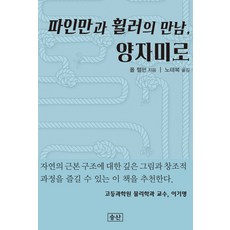 파인만과 휠러의 만남 양자미로, 승산, 폴 핼펀