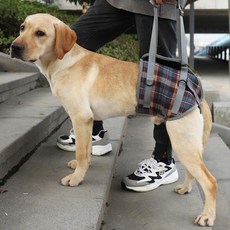 HYPCW 寵物犬術後康復輔助帶 老齡犬行走支撐揹帶, 後腿藍色格子 XL 建議60-80斤, 1