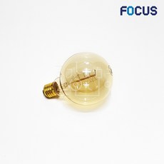 포커스 백열 에디슨전구 G80 60W E26, 1개