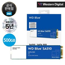 [공식판매점] WD Blue SA510 M.2 SATA SSD, SA510 M.2 500GB, 500GB