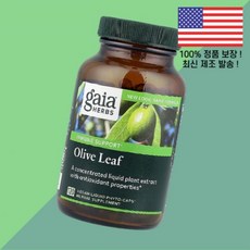 가이아 허브 올리브잎 올리브 리프 120 액상 리퀴드 피토캡슐 120정 Gaia Herbs Olive Leaf Liquid Phyto Caps, 1