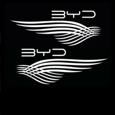 BYD Song Plus L Pro Max Dmi 자동차 도어 환영 조명 프로젝션 주변 수정 액세서리, 02 2PCS B style