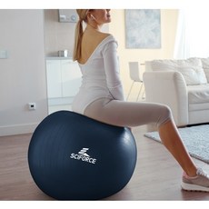 [바디포유] IW 밸런스 파스텔 짐볼 55cm 65cm 75cm, 75cm [무드인디고]