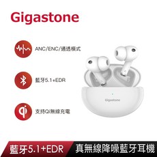 Gigastone TAQ1 真無線降噪藍牙耳機, 白色, TAQ1 White