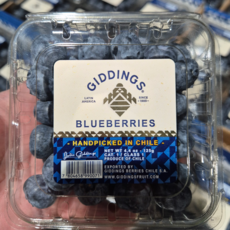 기딩스 프리미엄 생블루베리 고당도 칠레산, 1세트, 500g