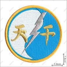 ARMYGO 空軍C-130HE電子作戰天干機機種章模型，精細軍事飛機模型，收藏展示佳品, 1個, 不車魔鬼氈