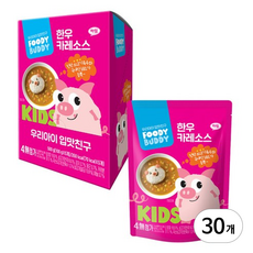 푸디버디 유아용 한우 토마토소스 5p, 카레맛, 100g, 30개