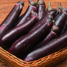 가지 5kg 10kg 5키로 10키로, 특상품 가지 1kg, 1박스, 1박스