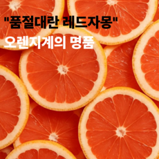 5차완판 고당도 레드자몽 프리미엄 명품, 1박스, 10과