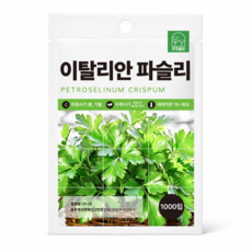 이태리파슬리씨앗 1000립 이탈리안파슬리 종자 씨 향채소 향나물, 1개
