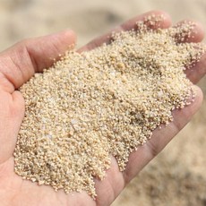 굵은바다모래 1kg 세척모래 DIY 재료 다양도 활용 교재 교구