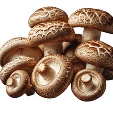 [예산농장-생 표고버섯] 가정용 못난이 실속형 파지 대용량, 1개, 5kg