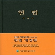 [개똥이네][중고-상] 헌법