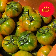 제철농장 대저 짭짤이 토마토, 1박스, 2.5kg 로얄과 (2S-3S)