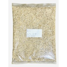 大麥草種子 1公斤裝 貓草種子 芽菜種子 高發芽率 美國進口 附播種說明, 1個