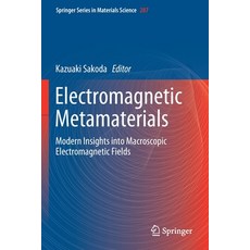 Electromagnetic Metamaterials: Modern Insights Into Macroscopic Electromagnetic Fields Paperback, Springer